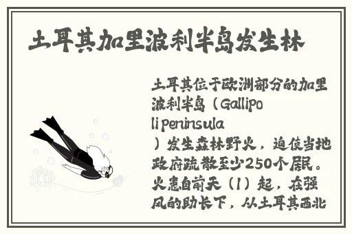 日产一线二线三线